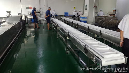 食品行业专用输送线定制解决方案 高效、卫生、多功能