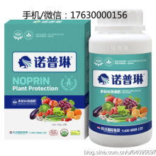 散装食品的兴衰与转型 在传统与现代之间寻求平衡